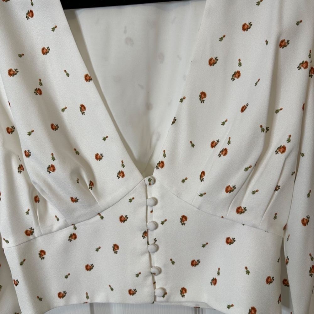 Backyard Roses Deep V Rose Blouse - Picture 5 of 9